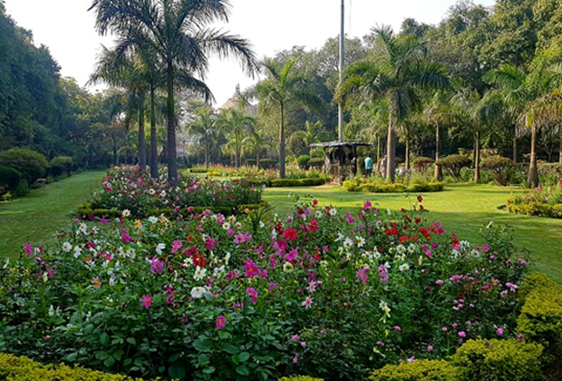 BORBHAG Foundation