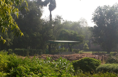 Creating a jogging track