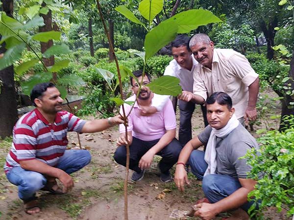 BORBHAG Foundation